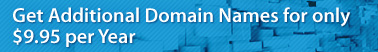 Get Additional Domain Names for only $9.95 per Year