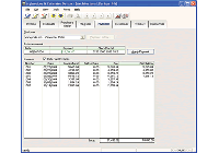 Create Professional Invoices screen