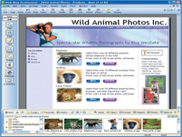 Design Professional Marketing Materials screen